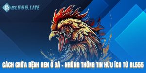 Cách chữa bệnh hen ở gà