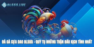 Đá gà cựa dao