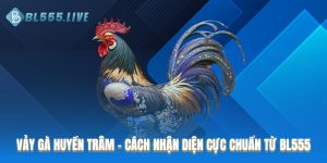 Vảy gà huyền trâm